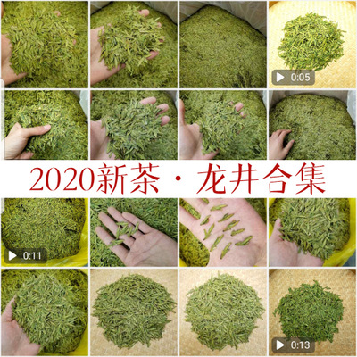 2020新茶合集 明前龙井春茶高山绿茶叶散装批发500g一件代发直销