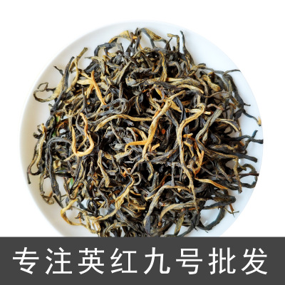 英德红茶 英红九号 浓香型 红茶批发 厂家直销 500g