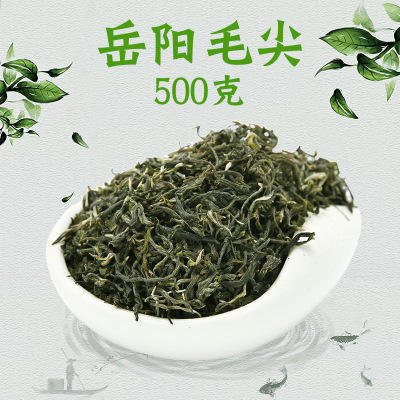岳阳毛尖绿茶湖南正宗特产明前春茶叶500g一斤装高山2020年新茶