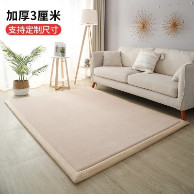 珊瑚绒加厚客厅地毯现代简约卧室床边地垫沙发地毯榻榻米垫炕垫