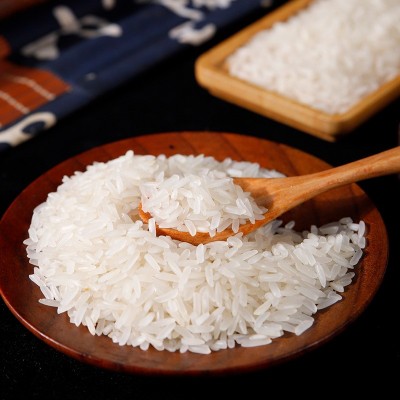 厂家直供批发团购家用大米香米做饭煮粥当季新米5kg