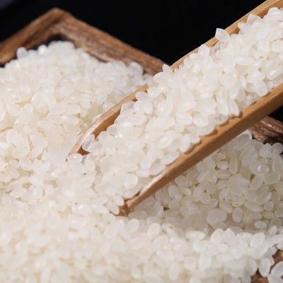 厂家直供家用团购大米东北珍珠米做饭煮粥当季新米4kg